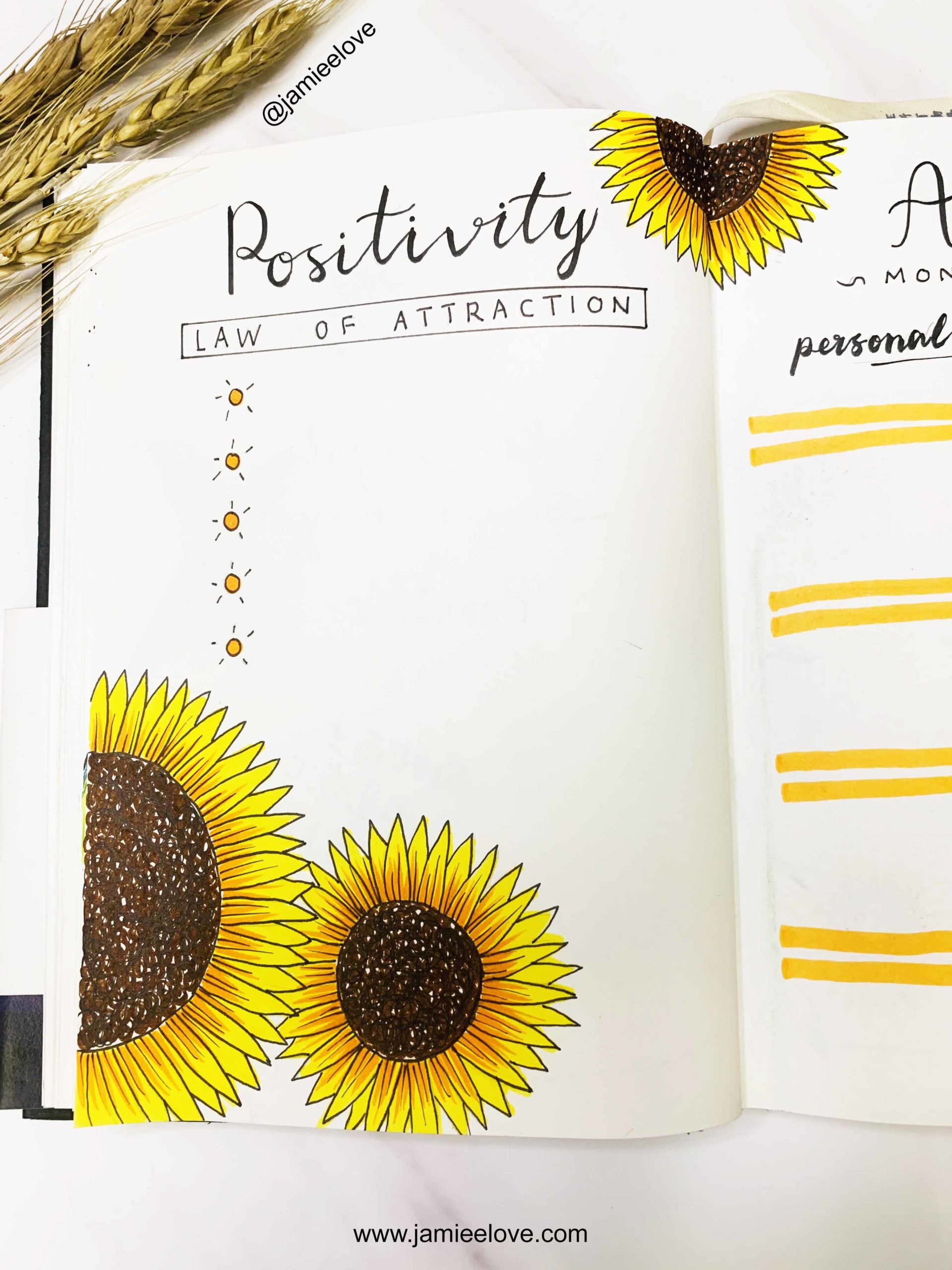 positivity Bullet Journal law of attraction 正能量吸引力法则