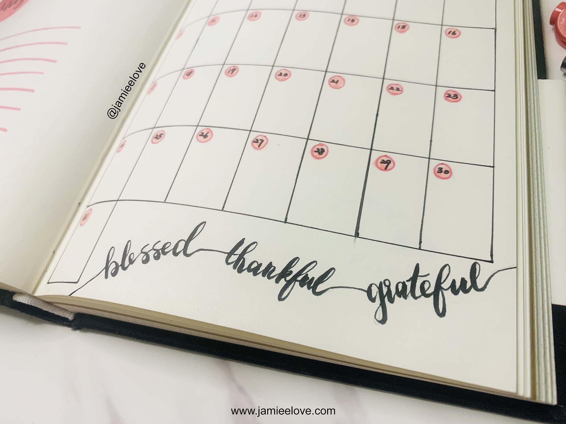 Gratitude Carnation Bullet Journal BUJO To Do List & Monthly Planner | 感恩康乃馨子弹笔记周计划